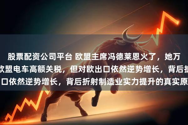 股票配资公司平台 欧盟主席冯德莱恩火了，她万万没想到，中国虽承受欧盟电车高额关税，但对欧出口依然逆势增长，背后折射制造业实力提升的真实原因